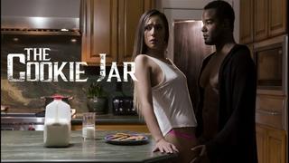 teenfidelity] satine summers summer loving watch online