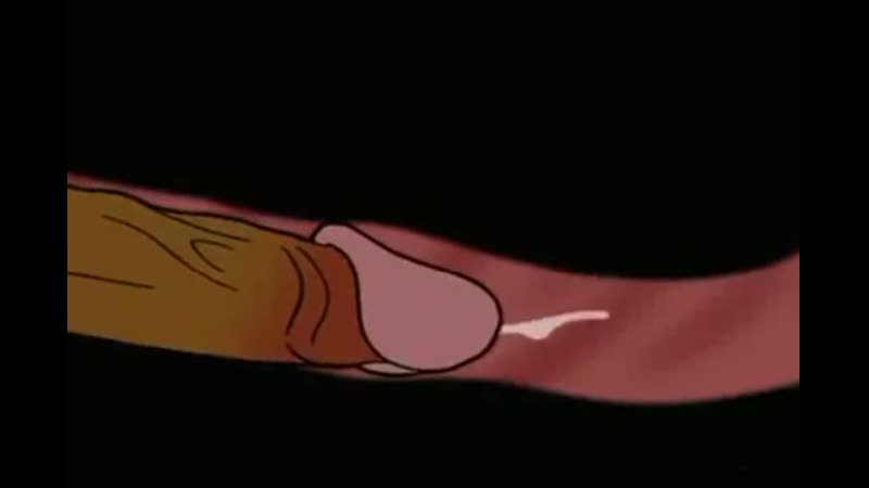 Animan porn video – Animan gay