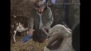 Kadını ne hale soktu helal olsun amcama ❤ - BEST XXX TUBE