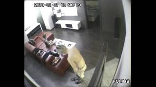 Son in front Porn HD Videos