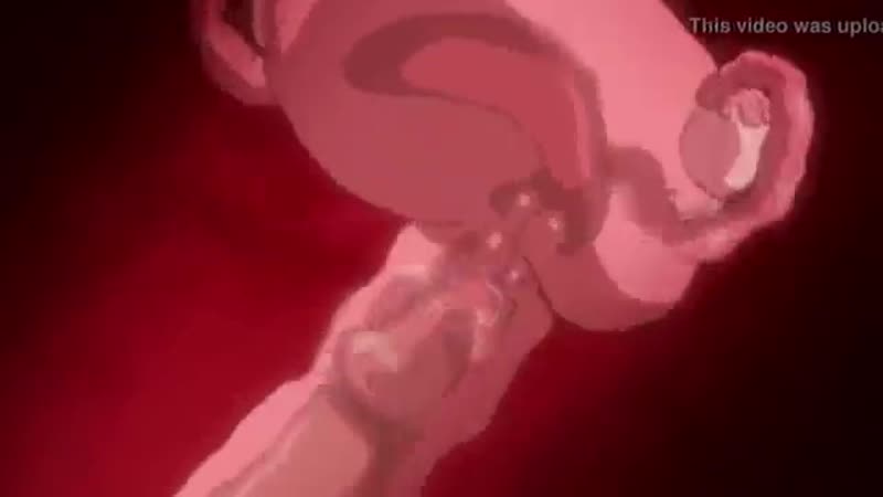 Вoeнныx porn video – Кончают в тянок x ray