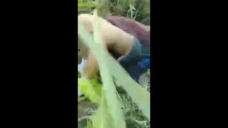 Bocil Porn HD Videos