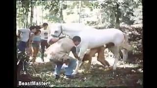 Saddling selina (horse!!!) [jackerman] watch online
