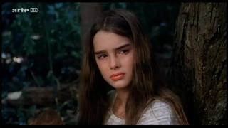 Criminal minds evolution (2023) s16ep7 brooke sorenson watch online
